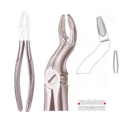 Extracting Forceps